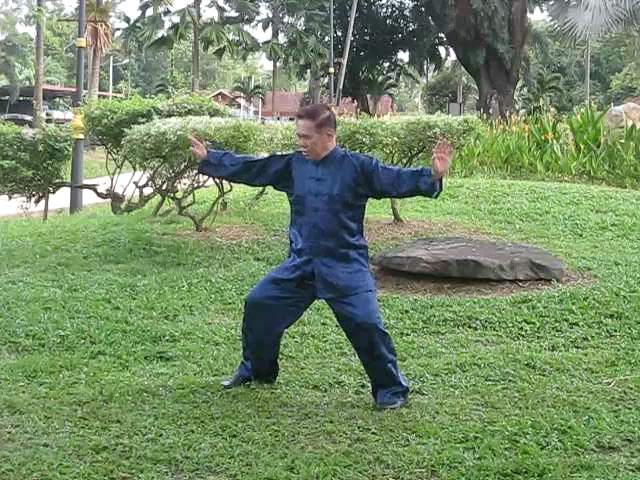 Wu Yu Xiang Style Taijiquan